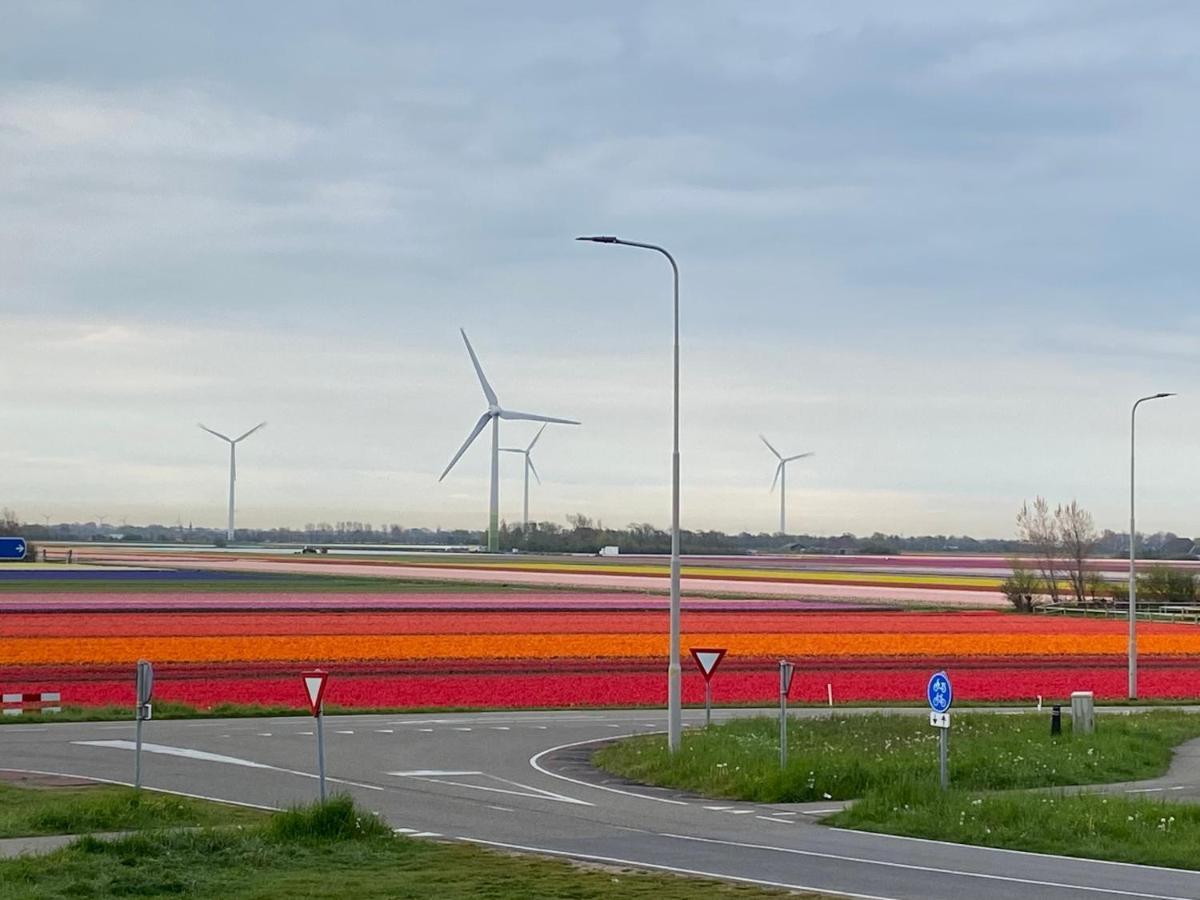 Zijperweg Vakantiehuis Petten Bagian luar foto