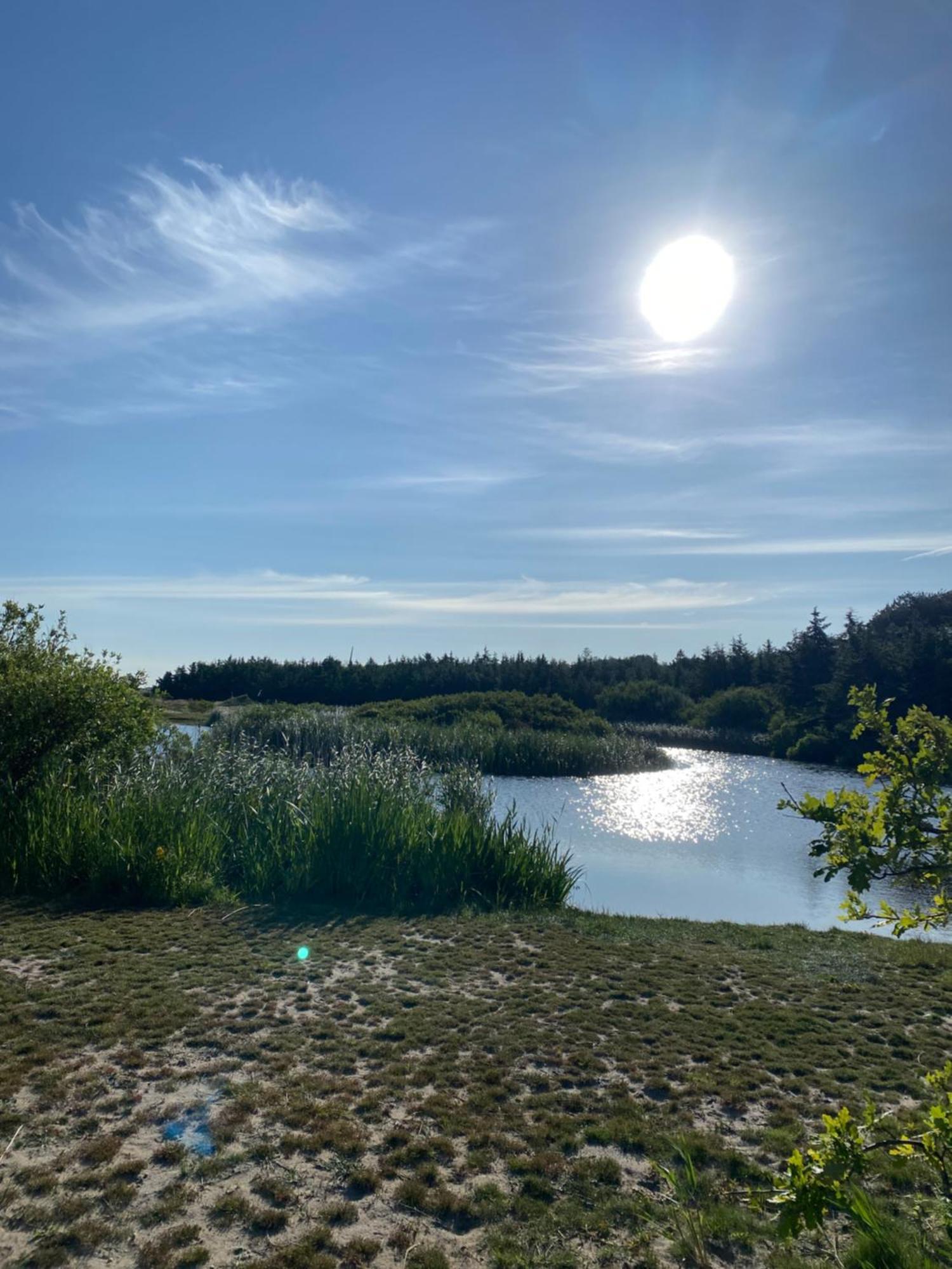 Zijperweg Vakantiehuis Petten Bagian luar foto