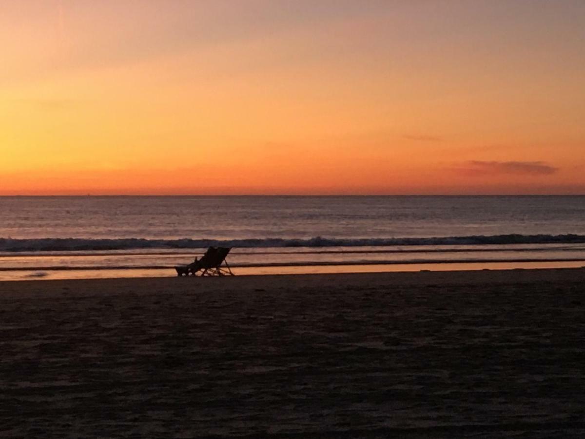 Zijperweg Vakantiehuis Petten Bagian luar foto